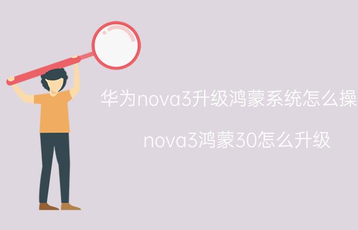 华为nova3升级鸿蒙系统怎么操作 nova3鸿蒙30怎么升级？